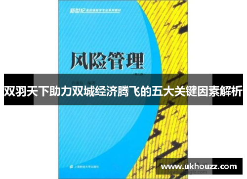 双羽天下助力双城经济腾飞的五大关键因素解析
