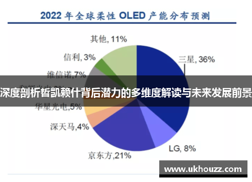 深度剖析哲凯赖什背后潜力的多维度解读与未来发展前景